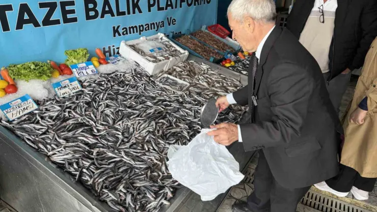 Denizlerde balık bolluğu: Hamsinin fiyatı düştü