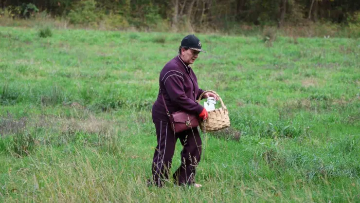 Doğaseverler Ormanya'nın zengin biyolojik çeşitliliğini keşfetti