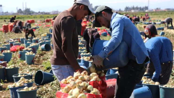Fiyatı düşmeye başlayacak