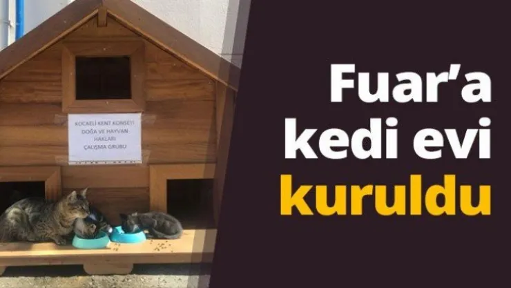 Fuar'a kedi evi kuruldu