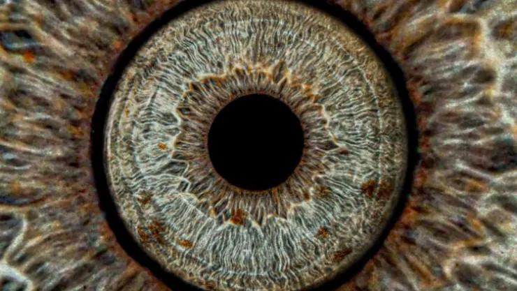 Gözler sanata dönüşüyor