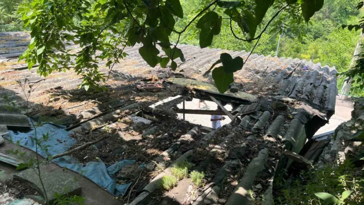 İpini koparan boğa otomobilin üzerine düştü