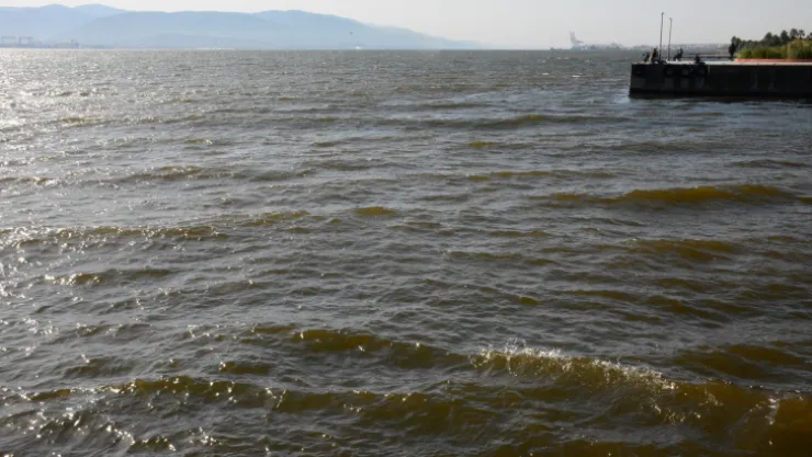 İzmit Körfezi'nde renk değişikliği