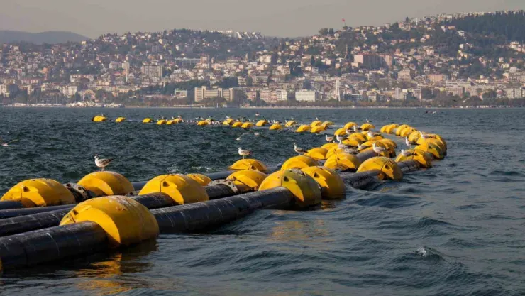 2 saatte 100 kiloluk mırmır yakalandı