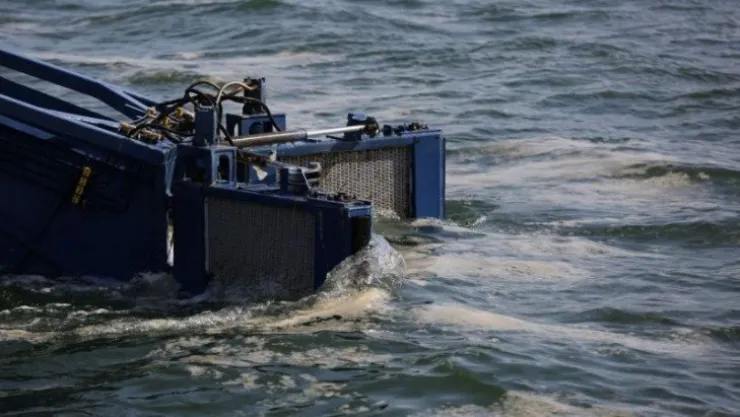 İzmit Körfezi'nde 50 günde 150 ton deniz salyası toplandı