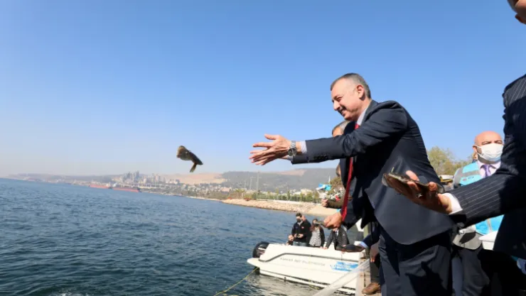İzmit Körfezine 5 bin balık daha salınacak