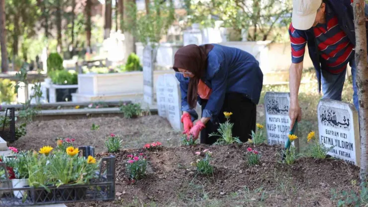 Kabirlere dikilmek amacıyla binlerce çiçek dağıtıldı