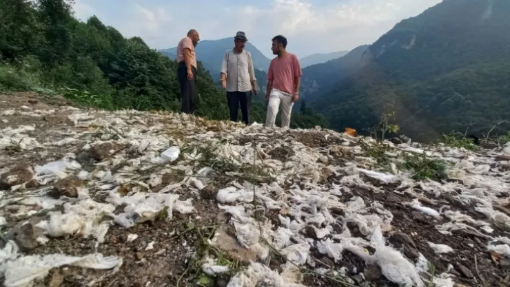 Ormanı kirleten firmaya rekor ceza!