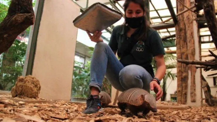 Kapanmayı fırsat bilip, park içerisinde özgürce dolaşıyorlar