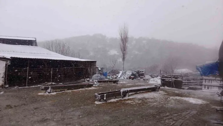 Kar, Balkanlar'dan giriş yaptı: Sınır köyler beyaza büründü