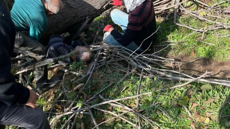 Kestiği ağacın altında kaldı