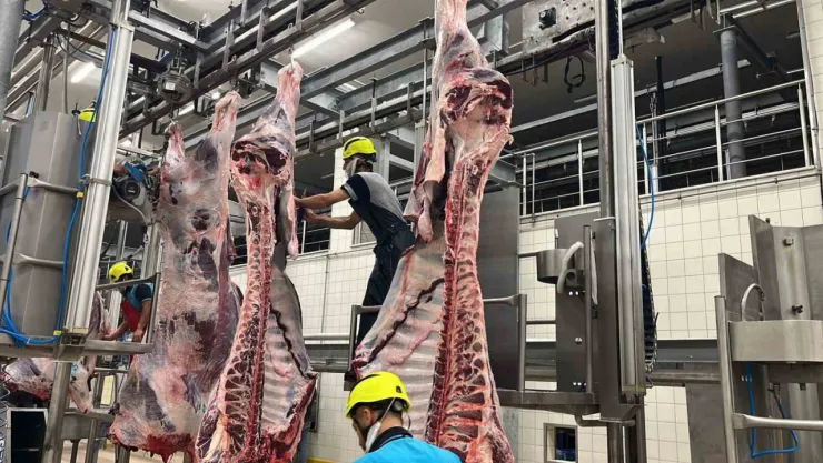 Kist hidatik riskine karşı sakatat uyarısı