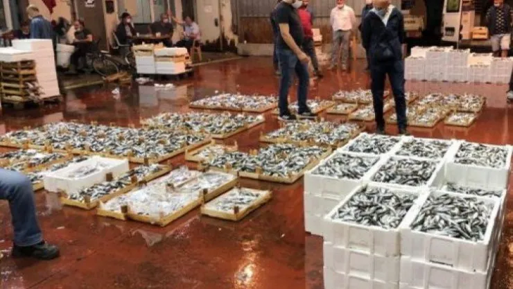 Kocaeli balık halleri bereketli av ile açıldı