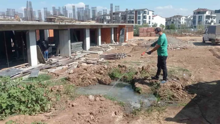 Zararlılardan arındırıldı