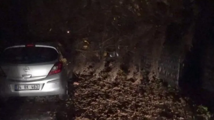 Kocaeli'de ağaç, otomobilin üstüne düştü!