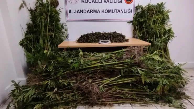 Kocaeli'de 11 kilo uyuşturucu ele geçirdi