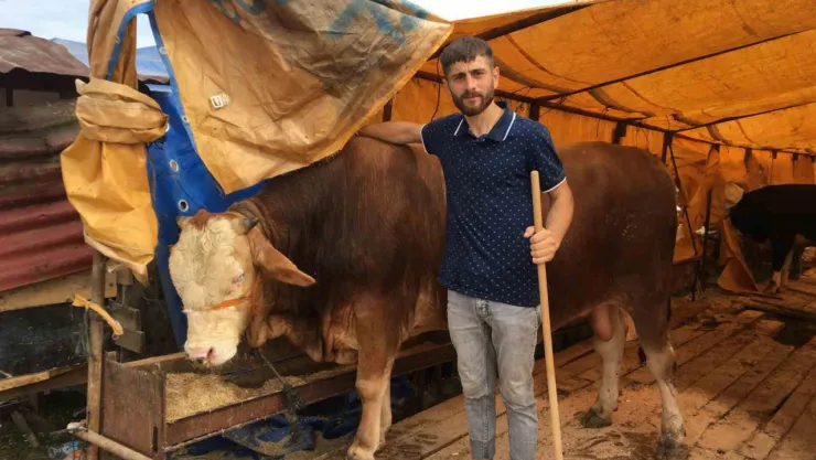 Kocaeli'de kurbanlıkların yarısı satıldı