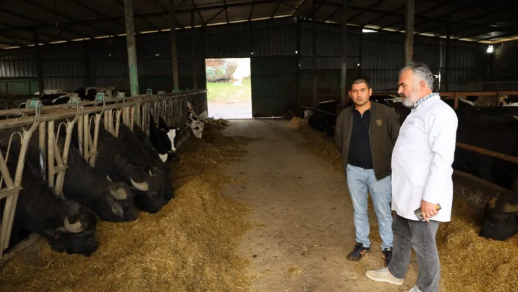 Kocaeli'de manda sayısı Büyükşehir'in desteğiyle artıyor