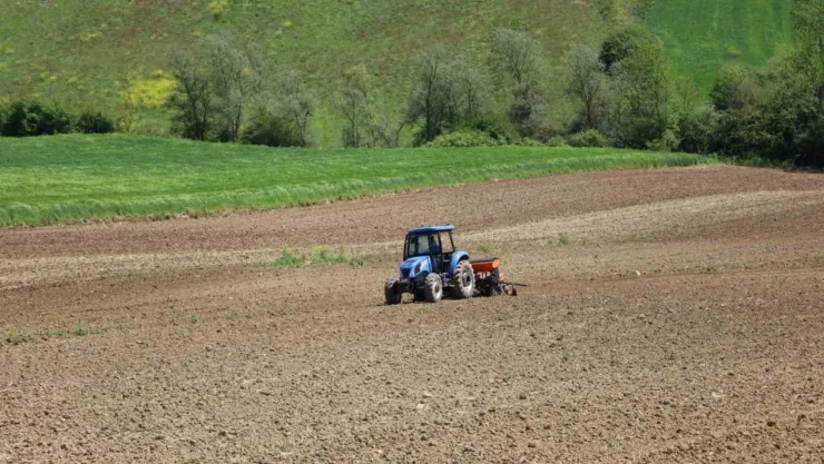 Kocaeli'de mısır tohumları toprakla buluşuyor