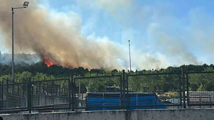 Kocaeli'de orman yangını çıktı