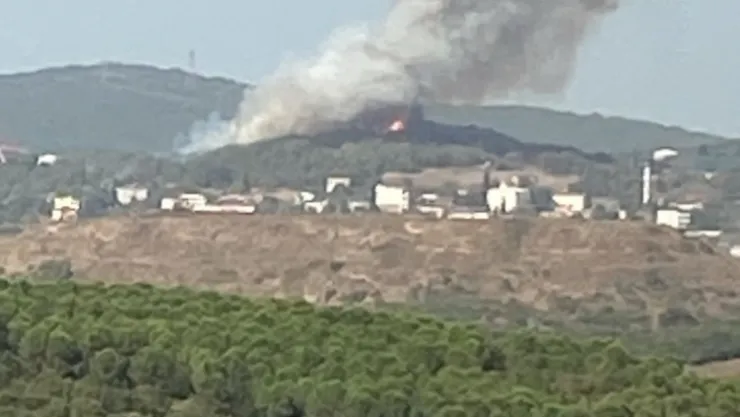 Kocaeli'de orman yangını