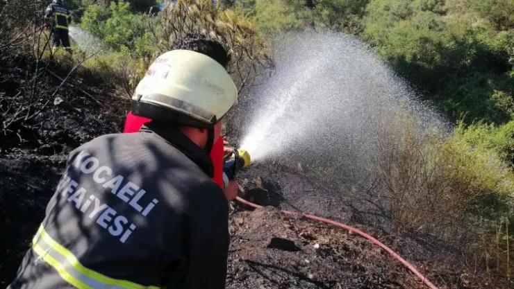 Kocaeli'de ormanlık alanda yangın çıktı