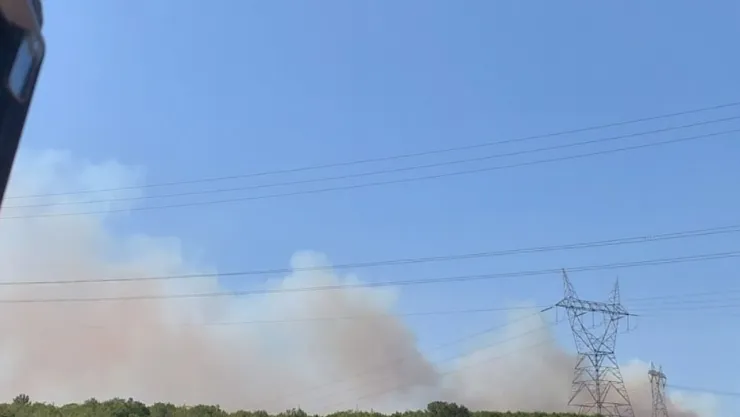 Kocaeli'de ormanlık alanda yangın çıktı