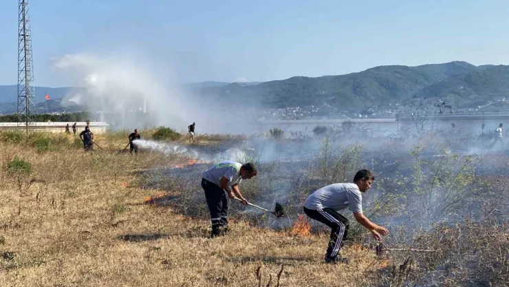 Kocaeli'de otluk yangını