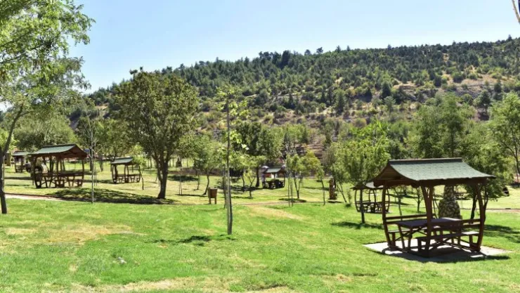 Kocaeli'de üç mesire alanı kiralanacak!
