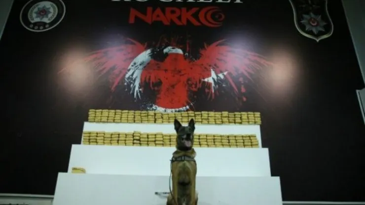 Kocaeli'deki TIR'da 132 kilo 800 gram eroin ele geçirildi!