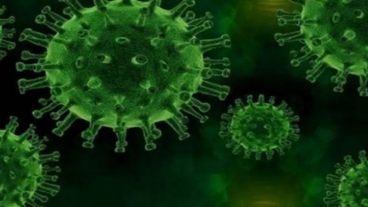 Kocaeli'de kaç kişi yurtlarda karantinada?