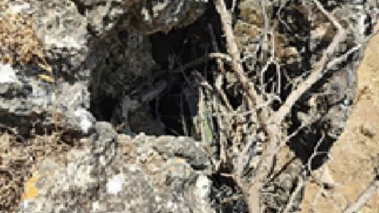 Komandolardan Nokta operasyon!