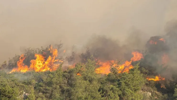 Komşudaki yangına çok sayıda araç ve ekiple müdahale