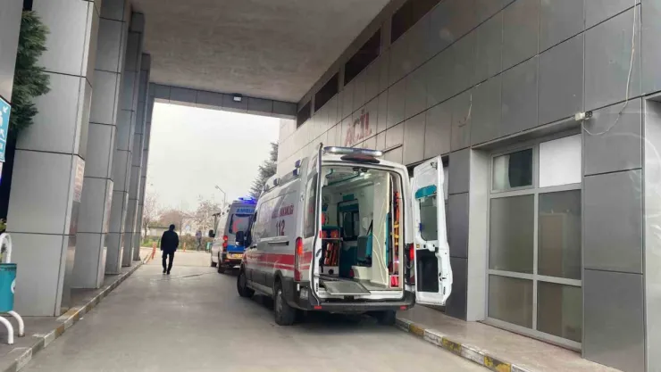Körfez'de 52 kişi hastanelik oldu