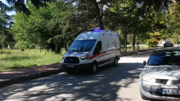 Kozalak toplamak isterken ağaçtan düştü