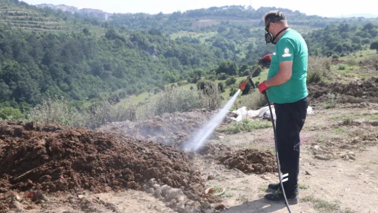 Kurban pazar yerleri ilaçlanıyor
