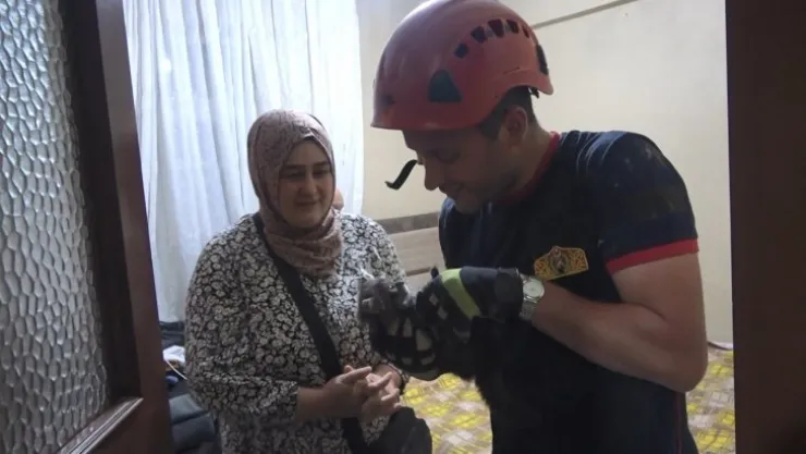 Kurtarılan yavru kediyi sahiplendi