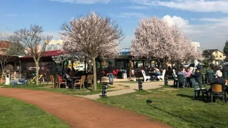 Lalezar Kafe arpalık mı oldu?