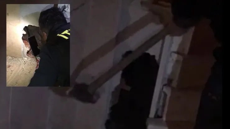 Mahsur kalan kediler balyozla kurtarıldı!