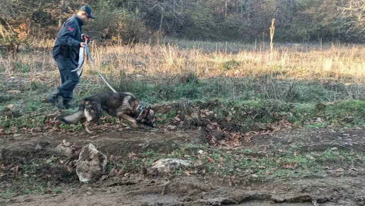 Kaybolan adamı 96 kişilik ekip arıyor