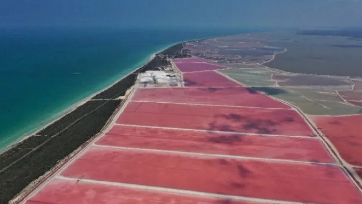 Meksika'nın Pembe Gölü'nü Türk çift görüntüledi