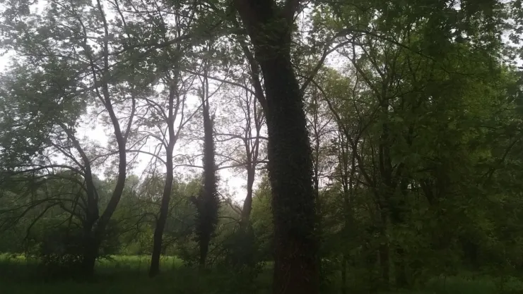 Memduh Tağmaç Kışlası kendi kaderine mi terk edildi?