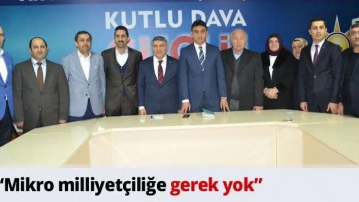 'Mikro milliyetçiliğe gerek yok'
