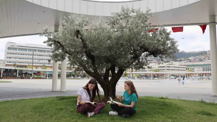 Milli İrade Meydanı'na 300'den fazla ağaç dikildi