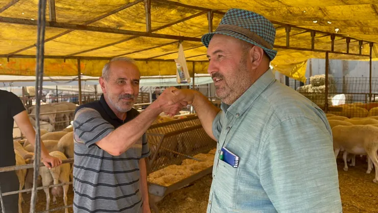 Modern Hayvan Pazarı'nda kurbanlık alışverişi devam ediyor! 