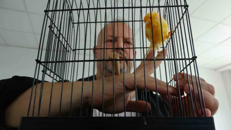 Molozların arasından kurtardığı kanaryalarıyla hayata tutundu