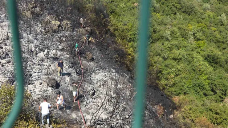 Orhangazi'de orman yangını korkuttu