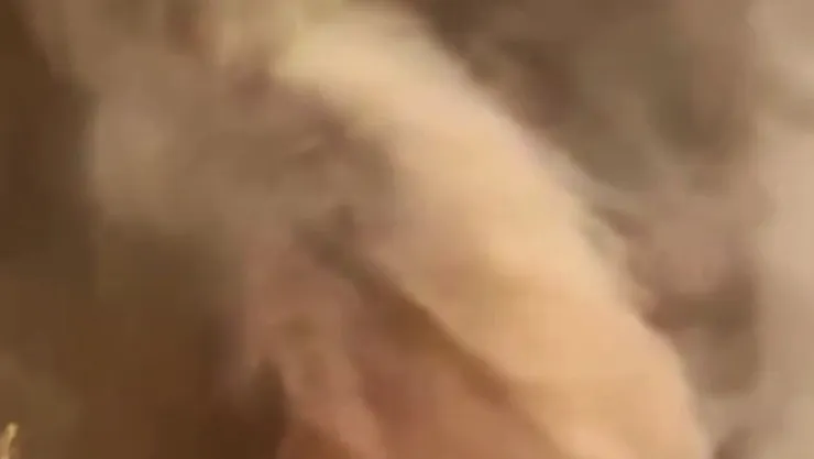 Orman yangınının en çarpıcı görüntüsü: Alevler adeta hortum oluşturdu