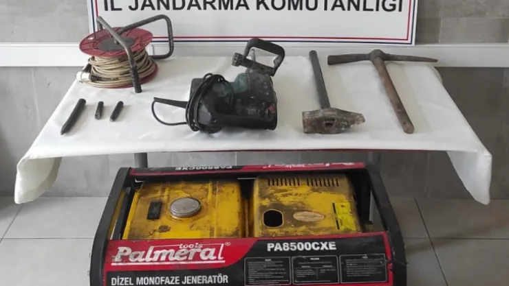 Ormanda define ararken suçüstü yakalandılar!