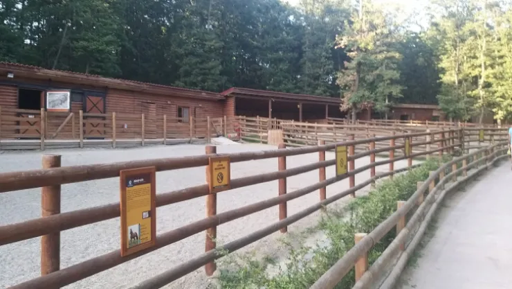 Ormanya'nın yangın güvenlik önlemi yeterli mi?